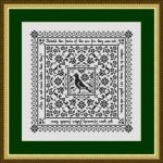 (image for) Matthew 6:26 - Bird Sampler 2